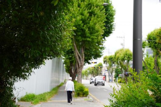 광주 북구 임동 전남방직 부지 인근 인도를 한 어르신이 지나가고 있다. 송보현 기자