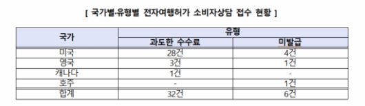 전자여행허가 소비자상담 현황. 한국소비자원 제공
