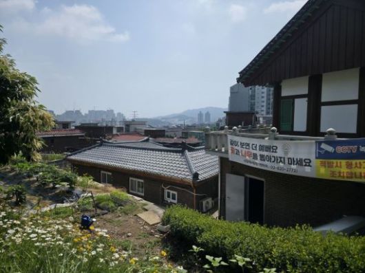 목단을 도난 당했다는 종친회 텃밭 앞에 '같이 보면 더 예뻐요, 꽃과 나무를 뽑아가지 마세요. 적발 시 형사 조치합니다'라는 현수막이 붙어있다. 최영찬 기자