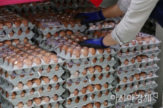 여름철, 식중독 발생 위험이 높아지는 가운데 특히 살모넬라균 감염에 대한 경각심이 요구된다. 문호남 기자 munonam@