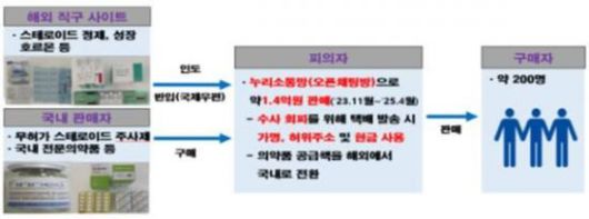 불법 의약품 수입·유통 모식도. 식품의약품안전처