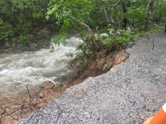 전남 순천시에 있는 명승 '조계산 송광사·선암사 일원' 피해 모습. 연합뉴스