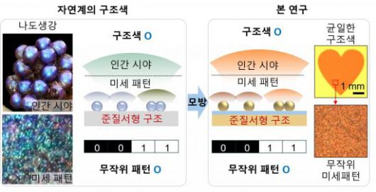 준질서형 구조를 통한 구조색.
