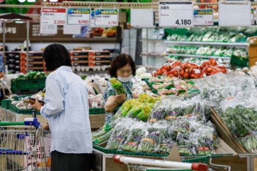 서울 서초구 하나로마트 양재점에 시금치가 진열돼 있다.