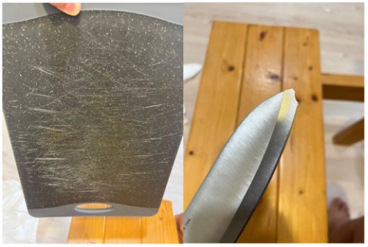 1박 24만원 제주도 펜션의 위생상태가 심각하다며 폭로한 사진. 온라인 커뮤니티 캡처