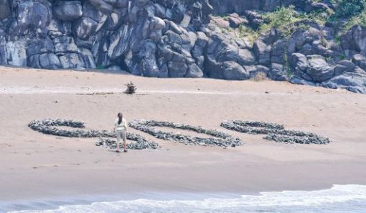 tvN 드라마 '무인도의 디바' 제작팀은 제주 해변에서 돌을 무단 방치해 환경 파괴 논란을 빚은 바 있다. tvN