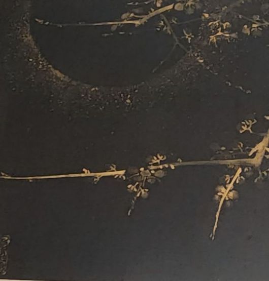 이정 '월매'. 달밤의 매화를 흑백의 수묵으로 그린 작품으로, 절개를 상징하는 매화의 고아(高雅)함을 간결하게 표현한 것이 특징이다. 서믿음 기자서믿음 기자