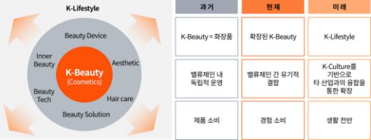 K뷰티 구조 변화. 삼일PwC