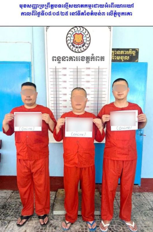 '온라인 스캠' 범죄조직과 전쟁에 나선 캄보디아 당국 합동단속반이 지난 8월 캄폿주에서 펼친 단속 작전에서 체포한 중국인들을 캄보디아 국영 AKP통신이 공개했다. 연합뉴스