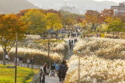 울산 태화강 국가정원 가을축제 모습. 울산시