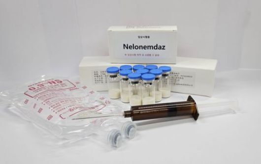 다중표적 뇌세포보호제 '넬로넴다즈'. 지엔티파마