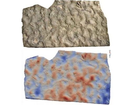 중국 쓰촨성 쯔궁시 우리마을에서 딩씨 형제가 디딤돌로 사용하던 공룡 화석. 홍콩 사우스차이나모닝포스트(SCMP) 캡처