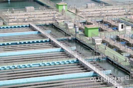 서울 성동구 뚝도 아리수정수센터 침전지. /문호남 기자 munonam@