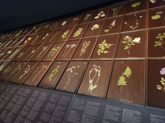 560여점의 들꽃과 들풀들의 모습과 이름을 담아 넣은 '우리가 처음 만났을 때(When We First Met)' 작품. 서믿음 기자