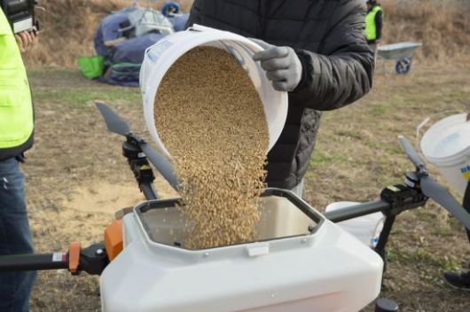 먹이 살포를 위해 드론에 볍씨와 곡물을 담는 자원봉사단. 고양특례시 제공