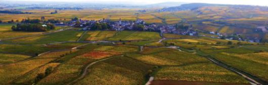 도멘 미쉘 르부르정의 포도밭 전경.[사진=도멘 미쉘 르부르정]