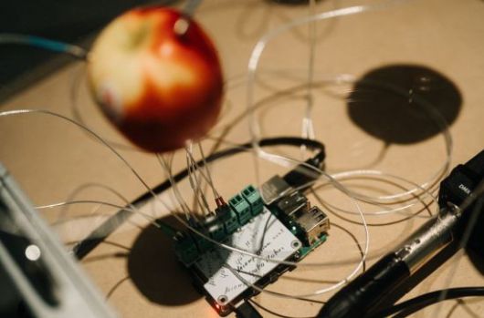 유코 모리 '부패'(2021). 국립현대미술관 제공