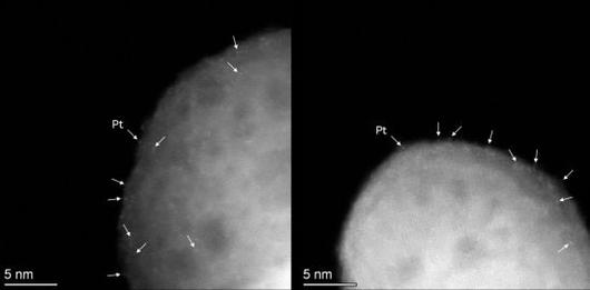 단일원자 백금(Pt) 입자의 전자현미경 사진. 화살표로 표시된 밝은 대비점들은 지지체 표면에 하나씩 고르게 분산된 백금(Pt)  원자들을 나타내며, 백금이 뭉치지 않고 안정적으로 분산된 상태임을 확인할 수 있다. 유성주 아주대학교 교수 제공