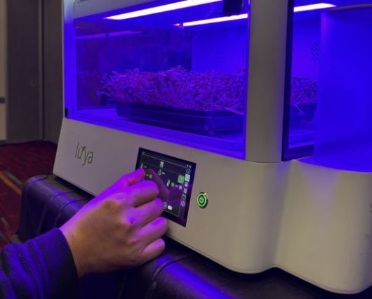 미국 스타트업 루야 AI의 창업자 프랜시스코 왕 대표가 9일(현지시간) 세계 최대 가전·IT 전시회 'CES 2026'에서 '인공지능(AI) 채소 재배 박스'의 블루라이트 강도를 수동 조절하고 있다. 전영주 기자