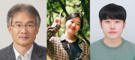 연구진 사진. 왼쪽부터 강봉균 IBS 기억 및 교세포 연구단 단장(교신저자), 홍일강 기억 및 교세포 연구단 박사후연구원(제1저자), 김연준 기억 및 교세포 연구단 박사후연구원(제1저자). IBS 제공