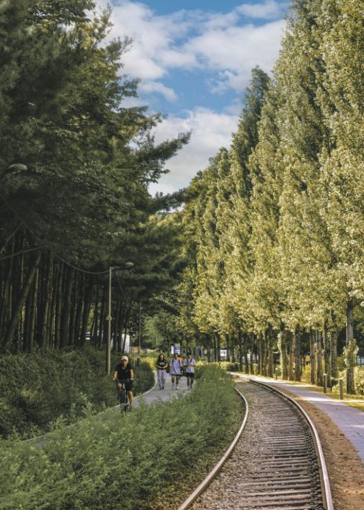 경춘선숲길을 산책하는 시민들. 노원구 제공.