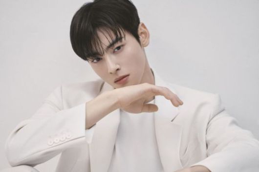 차은우. 아시아경제DB