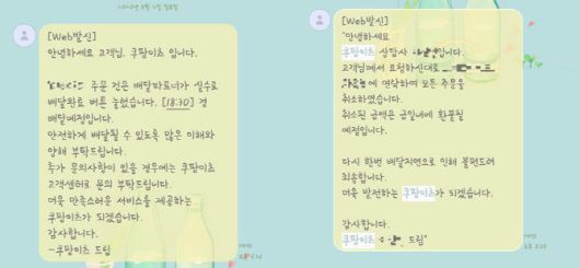 지난 2일 쿠팡이츠에서 음식을 주문 후 배송이 지연되자 A씨가 쿠팡이츠에 문의해 받은 답변 내역 (자료=독자제공)