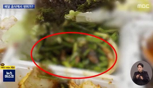 ‘족발 쥐’ 파동 (사진=MBC ‘뉴스데스크’ 방송 캡처)