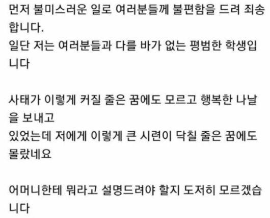 A씨 사과문 (사진=온라인 커뮤니티)