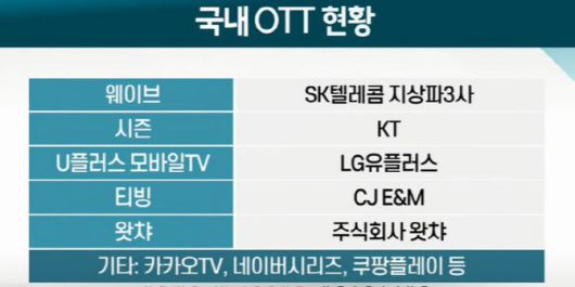 국내 OTT 현황.