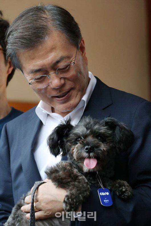 문재인 대통령이 지난 2017년 7월 26일 오후 청와대 관저 앞에서 최근 입양한 유기견 ‘토리’를 맞이하고 있다(사진=청와대 제공)