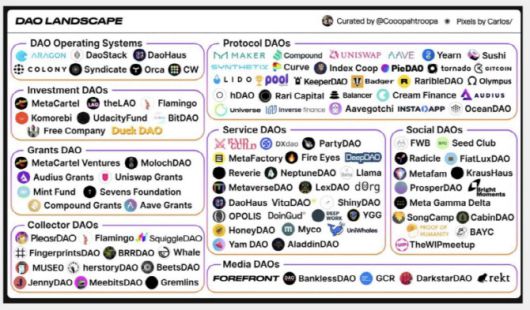 해외에서 여러 종류의 다오가 구성돼 운영되고 있다. (자료=박혜진 바이야드 대표)