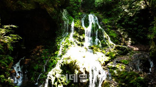 영화 ‘옥자’의 촬영 장소로 알려진 강원도 삼척의 무건리 이끼폭포. 국내 최고의 이끼폭포 세곳 중 한 곳으로 꼽히는 곳이다.