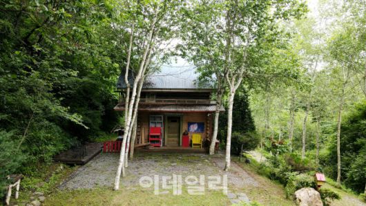 ‘나는 숲이다’에는 최기순 감도의 작품을 전시해둔 갤러리가 있다. 이곳에는 아무르 표범과 시베리아 호랑이 사진이 벽에 걸려 있다