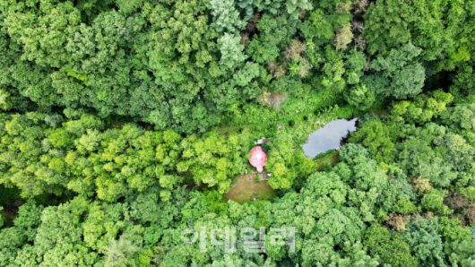 강원도 홍천 화촌면 숲속 깊숙한 곳에 자리한 ‘나는 숲이다’의 트리하우스. 이 집은 다큐멘터리 감독이었던 최기순 씨는 이곳 오지 땅에 러시아 자연보호구역에 사는 사람들의 집, ‘까르돈’에서 영감을 얻어 그만의 공간을 만들었다.