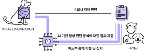 이데일리