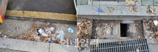 지난달 22일 서울 용산구 한 도로 배수구 주변을 정화하며 담배꽁초들을 수거한 모습.(사진=김범준 기자)