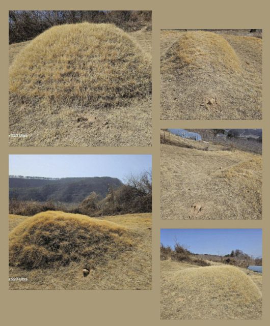 (사진= 이재명 대표 SNS)