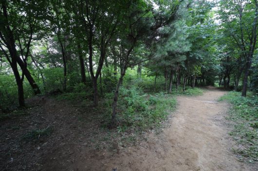 18일 오후 지난 17일 성폭행 사건이 일어난 서울 관악구 신림동 소재 야산 현장(왼쪽) 모습. (사진=연합뉴스)