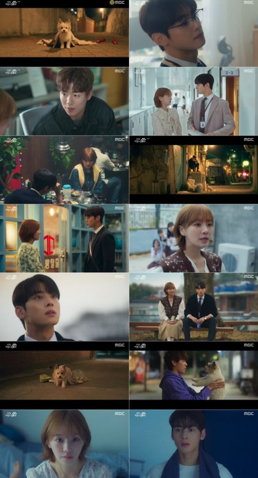 (사진=MBC ‘오늘도 사랑스럽개’)