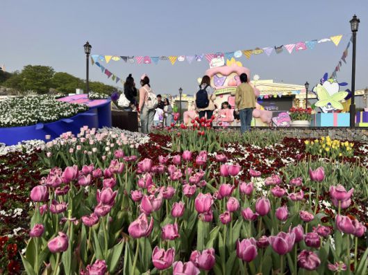 튤립이 가득한 에버랜드 포시즌스가든 (사진=김명상 기자)