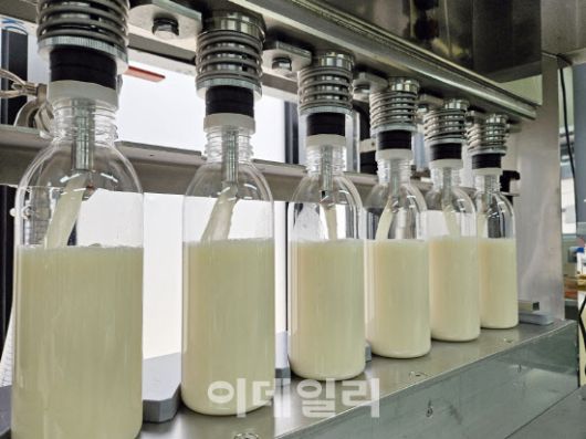 운정막걸리 병입 작업 모습.