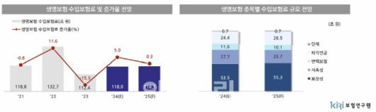 보험연구원 ‘2025년 보험산업 전망과 과제’ 세미나 자료(자료=보험연구원)