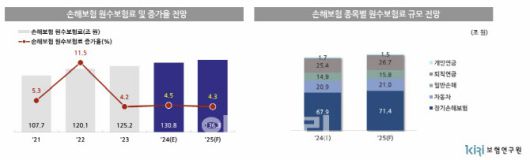 보험연구원 ‘2025년 보험산업 전망과 과제’ 세미나 자료.(자료=보험연구원)
