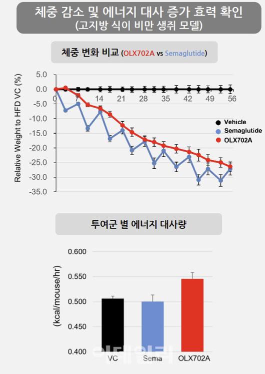 이데일리