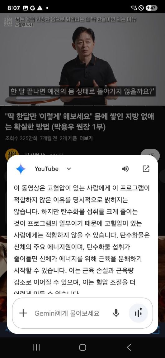 제미나이가 유튜브 내용을 요약해주는 모습(사진=임유경 기자)