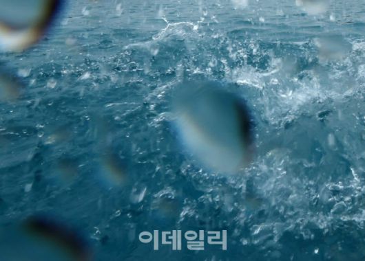 이데일리