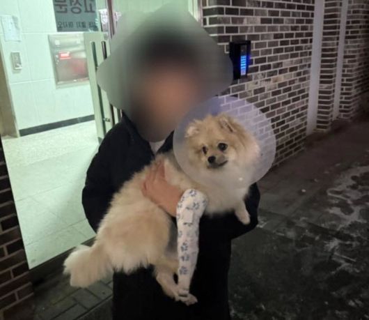 이데일리