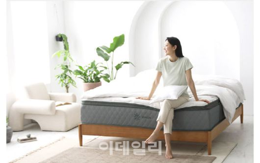 지누스 홈페이지 캡처.