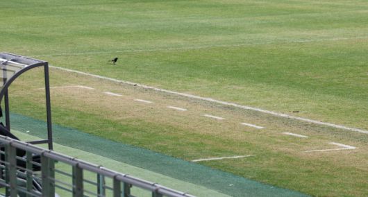 서울월드컵경기장의 손상된 잔디 모습. 사진=연합뉴스